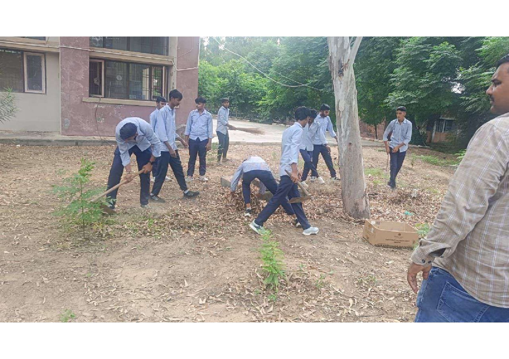 Sewa Pakhwada 2025