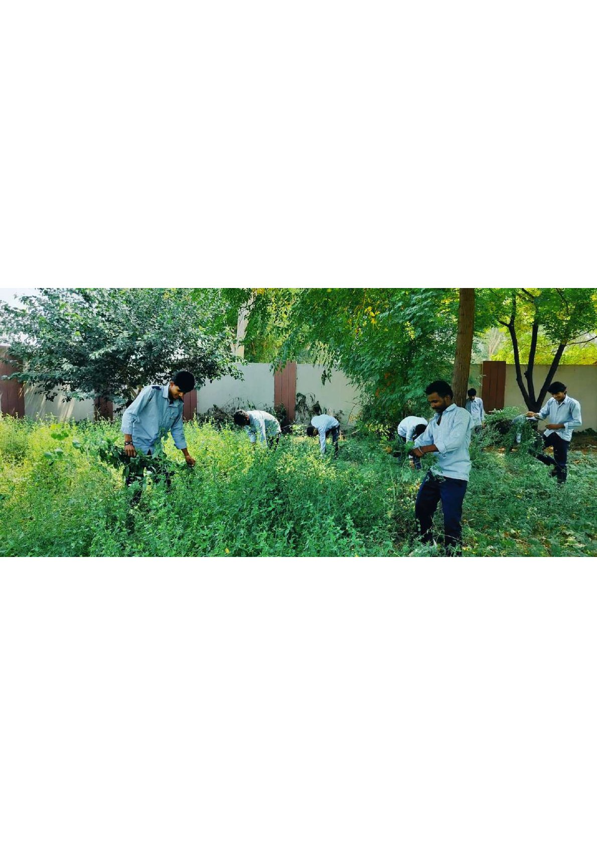 Sewa Pakhwada 2025